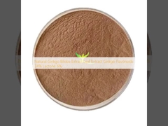 Φυσικό εκχύλισμα φύλλων Ginkgo Biloba Εκχύλισμα φύλλων Ginkgo Φλαβονοειδή 24% Λακτόνη 6%