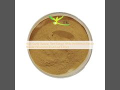 Υψηλής περιεκτικότητας σε φυσικά φυτικά εκχυλίσματα λευκό κρέμα κρέμας κρέμας κρέμας κρέμας κρέμας κρέμας κρέμας κρέμας κρέμας κρέμας κρέμας