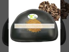 100% Φυσικό Εκχύλισμα Μανιταριού Maitake Grifola Frondosa σε Σκόνη Πολυσακχαρίτες για Συμπλήρωμα Υγείας