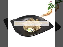 100% Φυσικό Εκχύλισμα Ρίζας Panax Ginseng, Σκόνη Ρίζας Ginseng Χύμα
