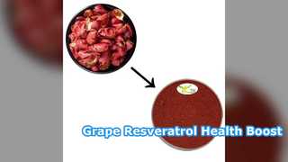 Grape Skin Resveratrol 5% 10% Χονδρική